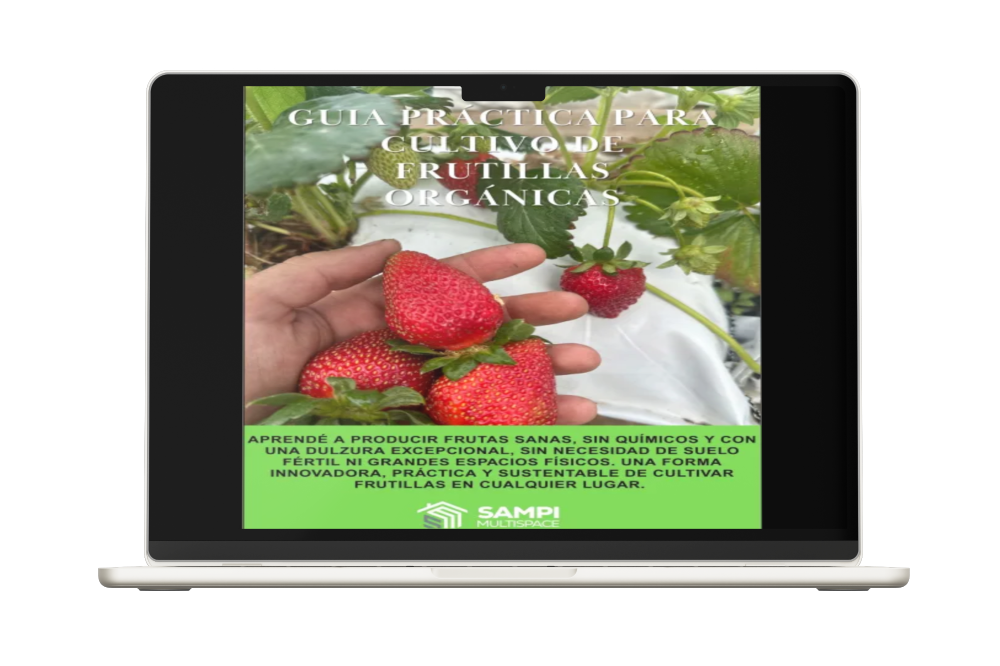 GUÍA PRÁCTICA DIGITAL PARA CULTIVO DE FRUTILLAS ORGÁNICAS - 50%OFF