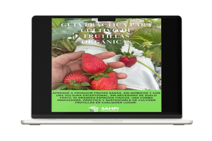 GUÍA PRÁCTICA DIGITAL PARA CULTIVO DE FRUTILLAS ORGÁNICAS - 50%OFF