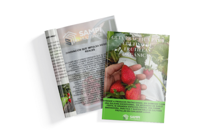 GUÍA PRÁCTICA DIGITAL PARA CULTIVO DE FRUTILLAS ORGÁNICAS - 50%OFF