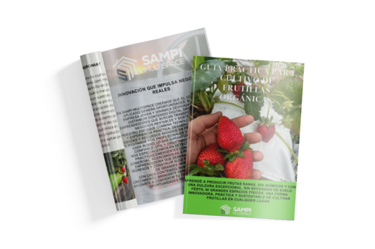 GUÍA PRÁCTICA DIGITAL PARA CULTIVO DE FRUTILLAS ORGÁNICAS - 50%OFF
