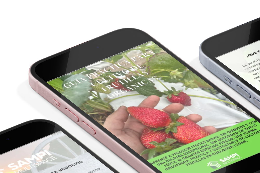 GUÍA PRÁCTICA DIGITAL PARA CULTIVO DE FRUTILLAS ORGÁNICAS - 50%OFF