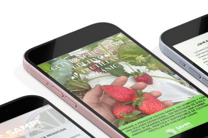 GUÍA PRÁCTICA DIGITAL PARA CULTIVO DE FRUTILLAS ORGÁNICAS - 50%OFF