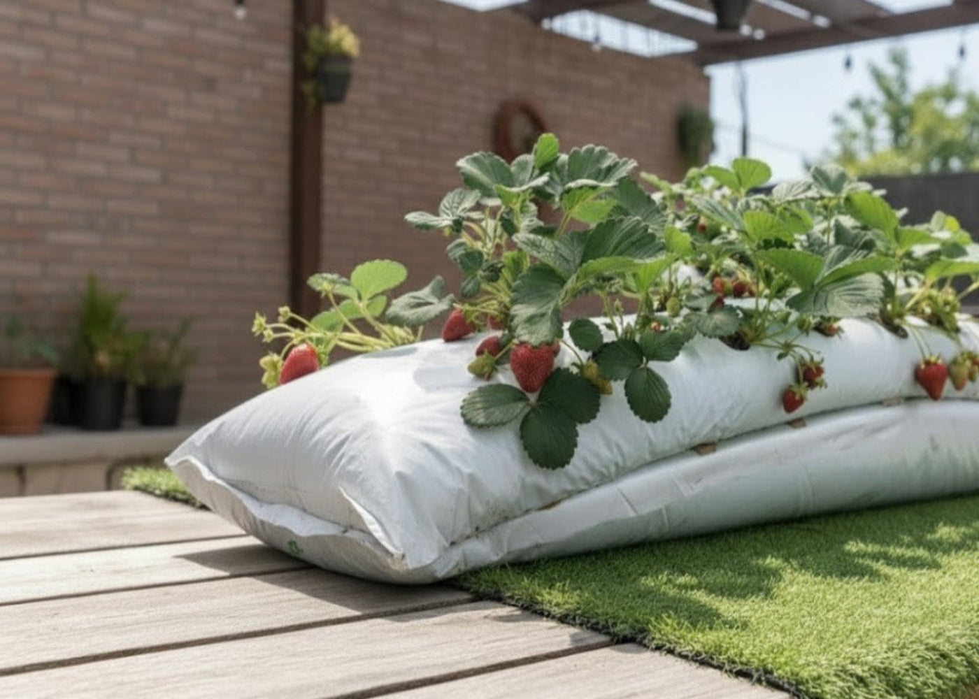 GUÍA PRÁCTICA DIGITAL PARA CULTIVO DE FRUTILLAS ORGÁNICAS - 50%OFF